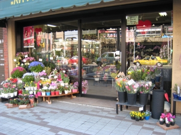 「ハナトシ花園」　（東京都江東区）の花屋店舗写真2